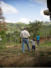 Life in Rural Trojes, Honduras